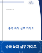 중국 특허 실무 가이드